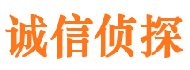 伍家岗调查公司